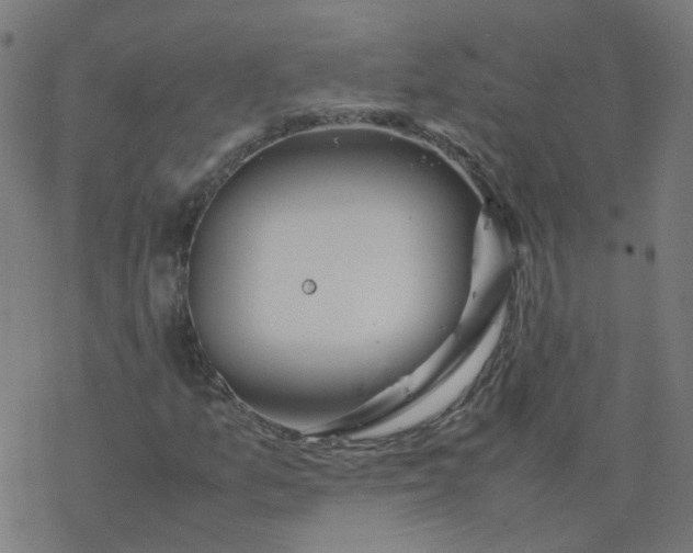 X0000077361157200611031839