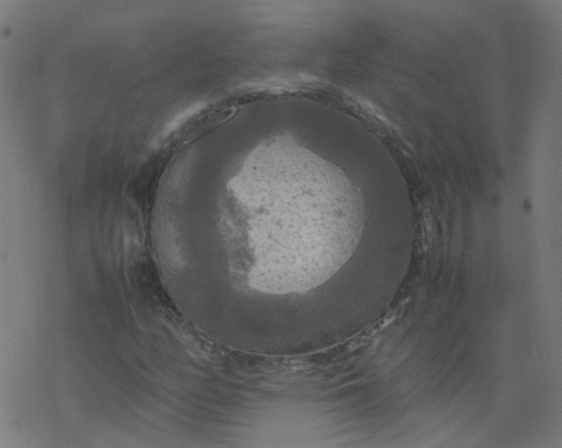 X0000077361158200611031839