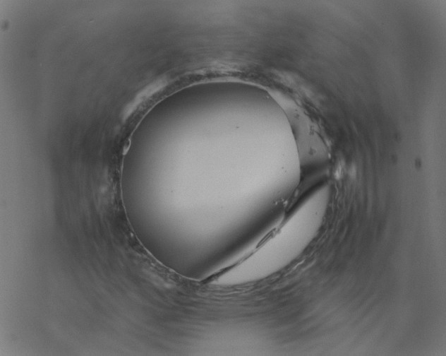 X0000077361160200611031839