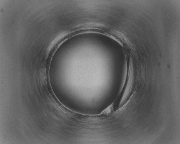 X0000077361164200611031839