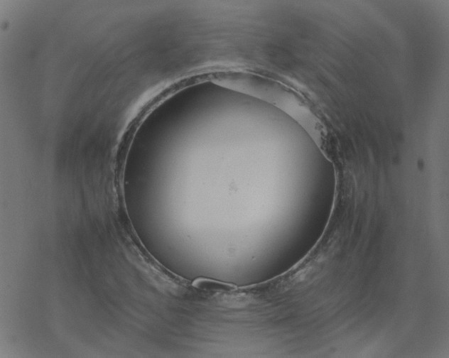 X0000077361168200611031839