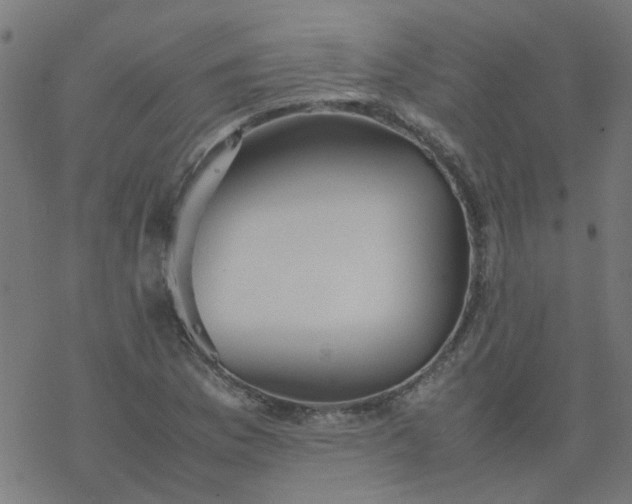 X0000077361169200611031839