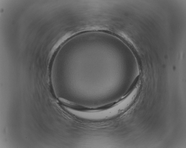 X0000077361173200611031839