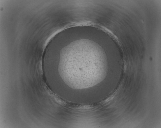 X0000077361174200611031839