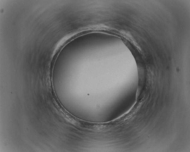 X0000077361176200611031839