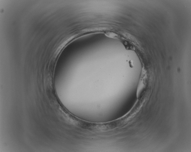 X0000077361177200611031839