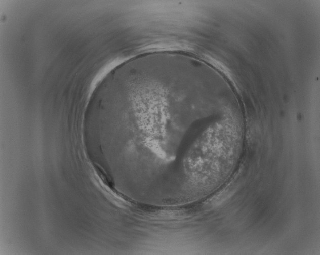 X0000077361179200611031839