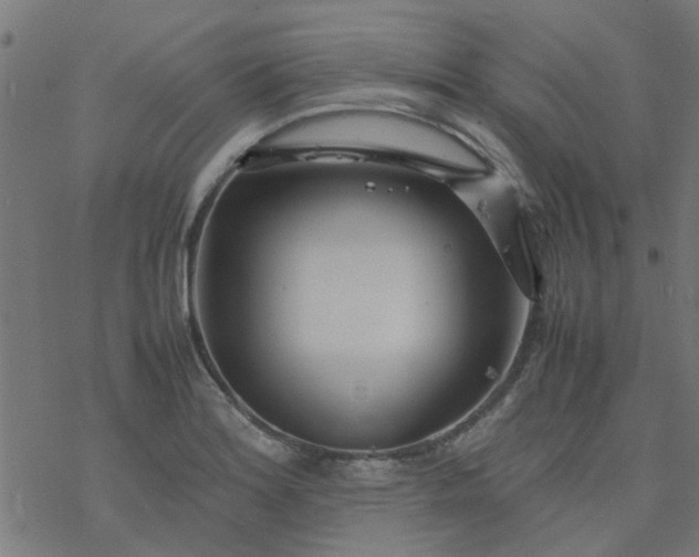 X0000077361180200611031839