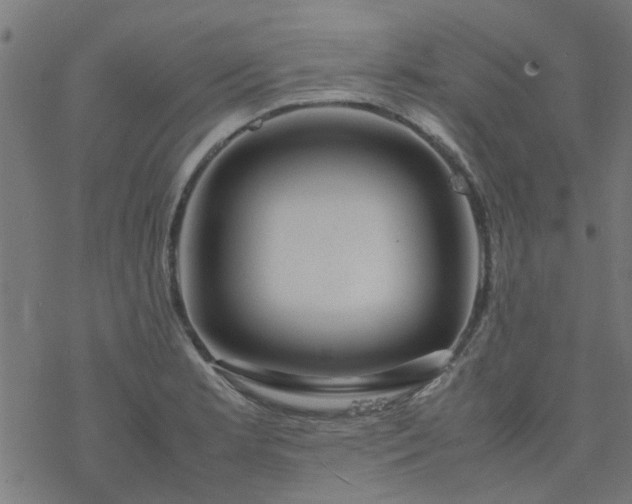 X0000077361181200611031838