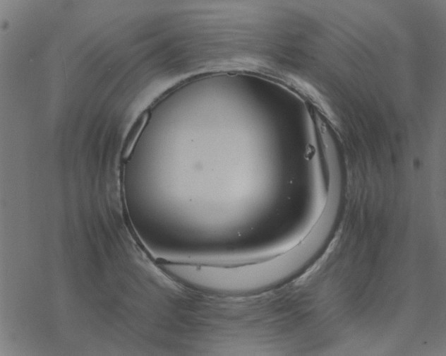 X0000077361184200611031838