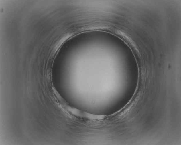 X0000077361185200611031838