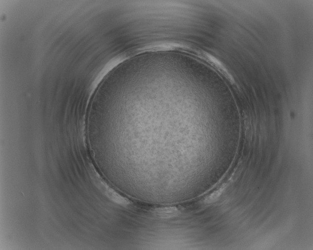 X0000077361186200611031838