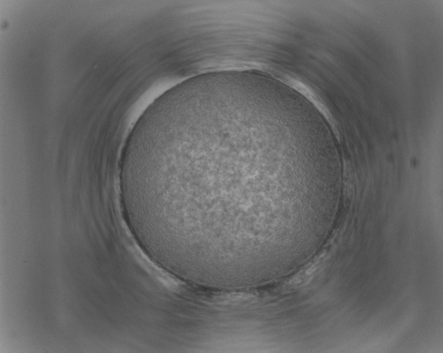 X0000077361187200611031838