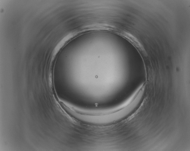 X0000077361188200611031838