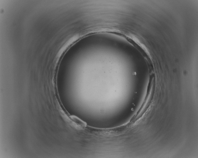 X0000077361189200611031838