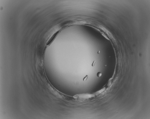 X0000077361193200611031838