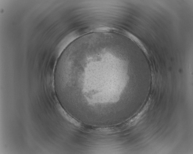 X0000077361194200611031838