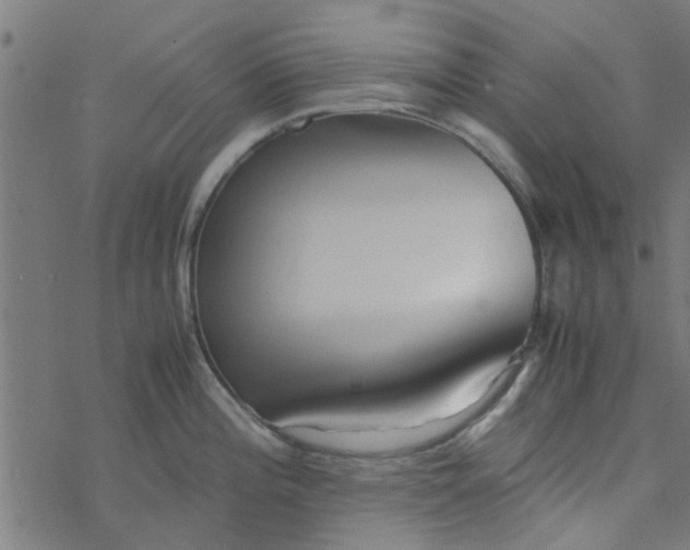 X0000077361196200611031838