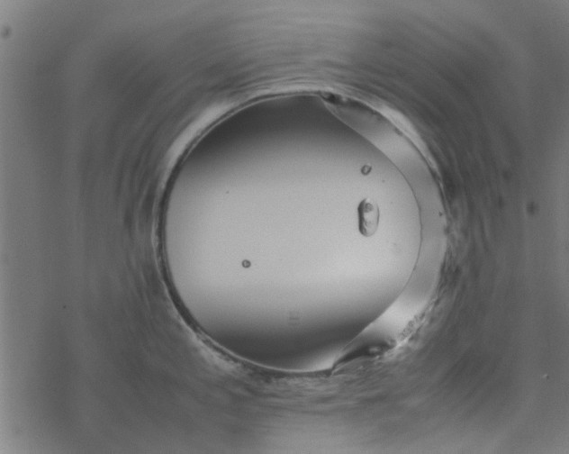 X0000077361197200611031838