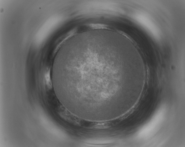 X0000077361198200611031838