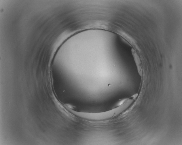 X0000077361200200611031838