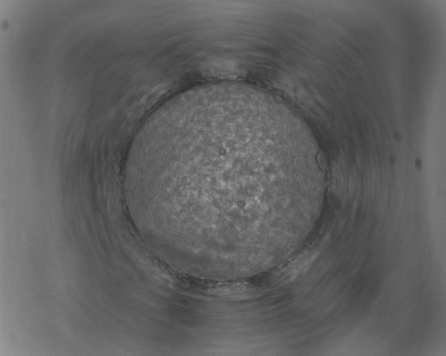 X0000077361201200611031837