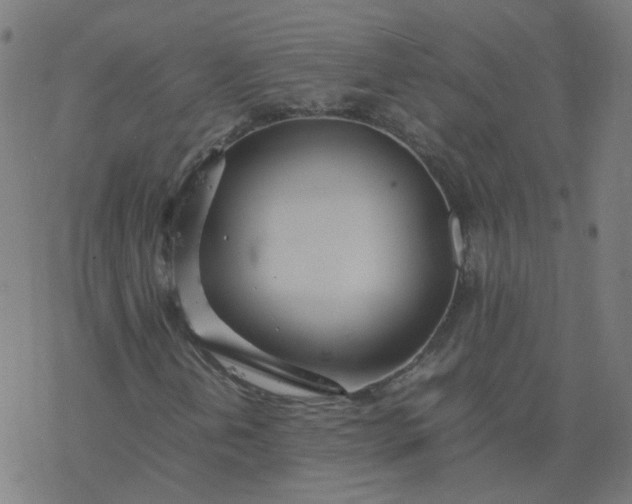 X0000077361202200611031837