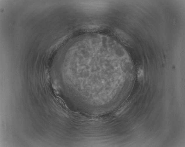 X0000077361204200611031837