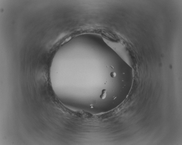 X0000077361206200611031837