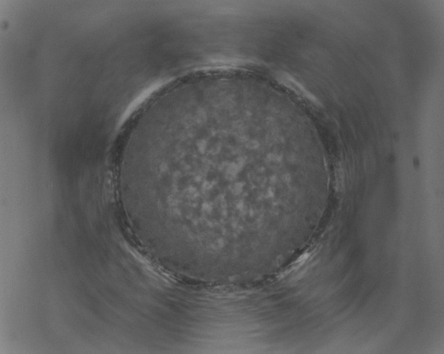 X0000077361208200611031838