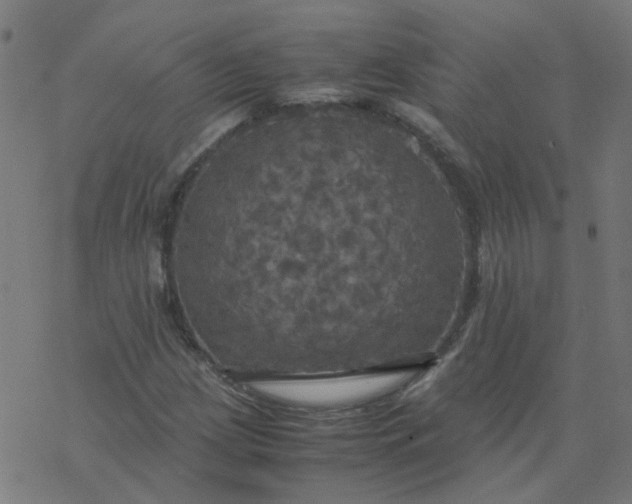 X0000077361209200611031838