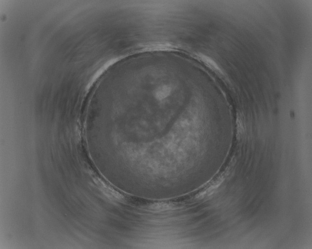 X0000077361212200611031838