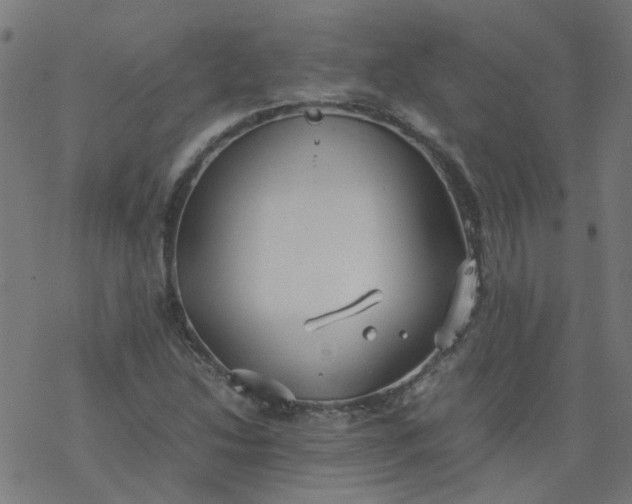 X0000077361214200611031838