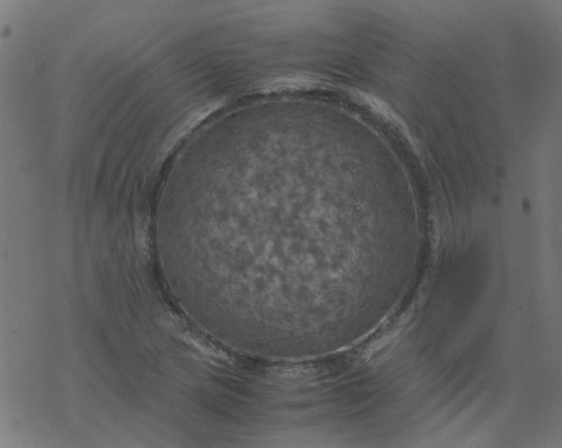 X0000077361217200611031838