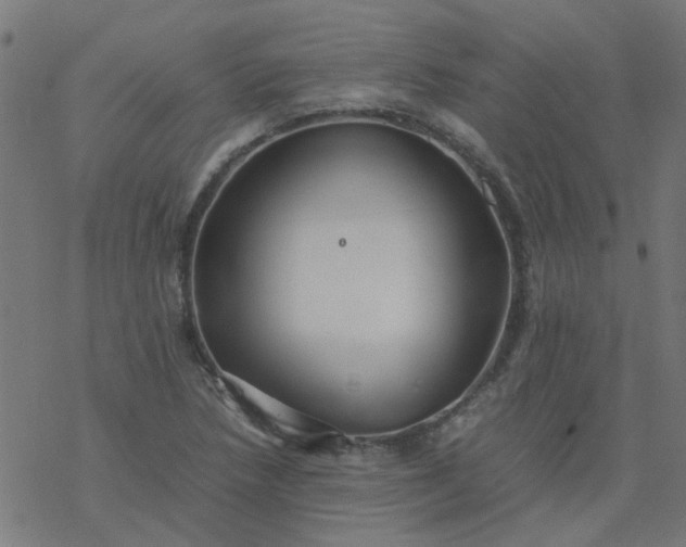 X0000077361218200611031838