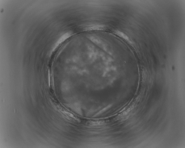 X0000077361219200611031838