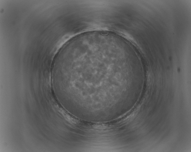 X0000077361220200611031838