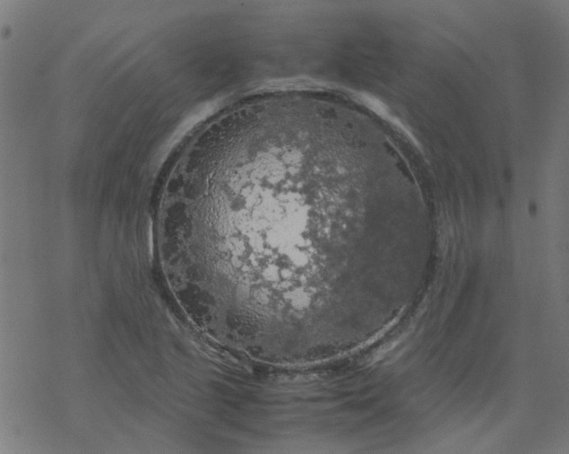 X0000077361221200611031838