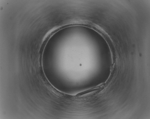 X0000077361222200611031838