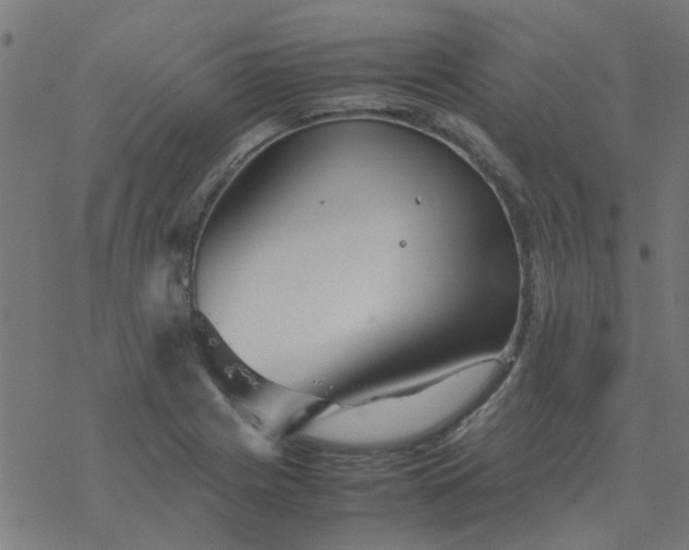 X0000077361225200611031838