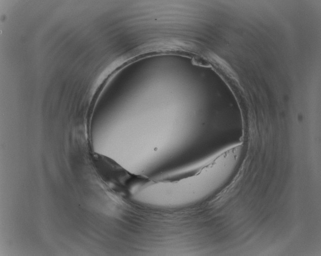 X0000077361226200611031838