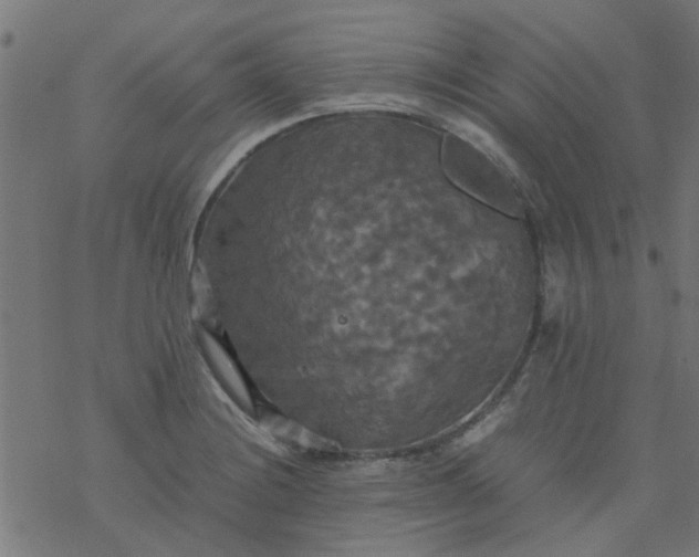 X0000077361228200611031838