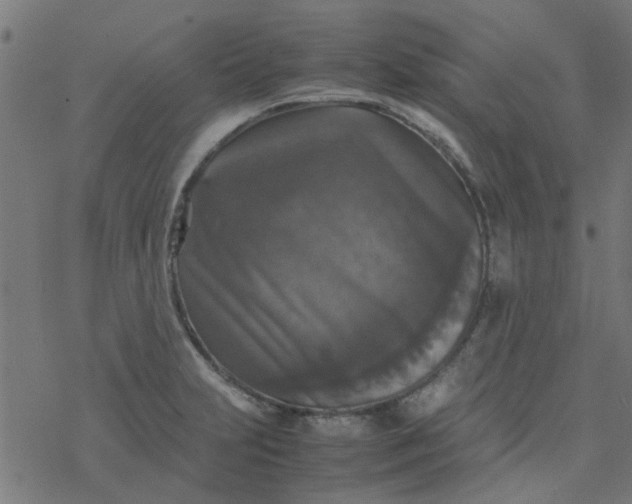 X0000077361231200611031838