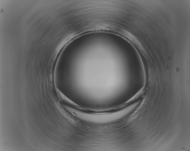 X0000077361234200611031838