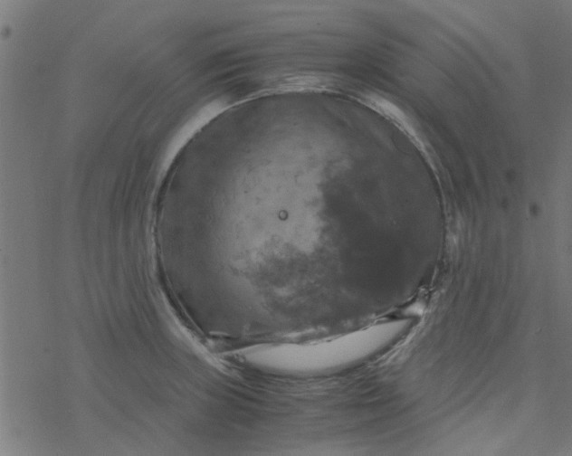 X0000077361235200611031838