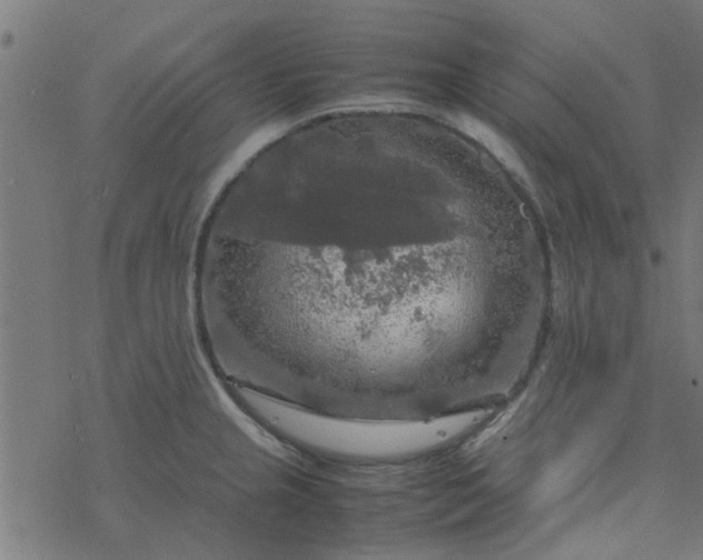 X0000077361237200611031838