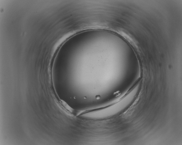 X0000077361238200611031838