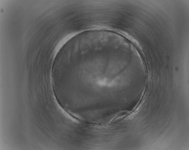 X0000077361239200611031838