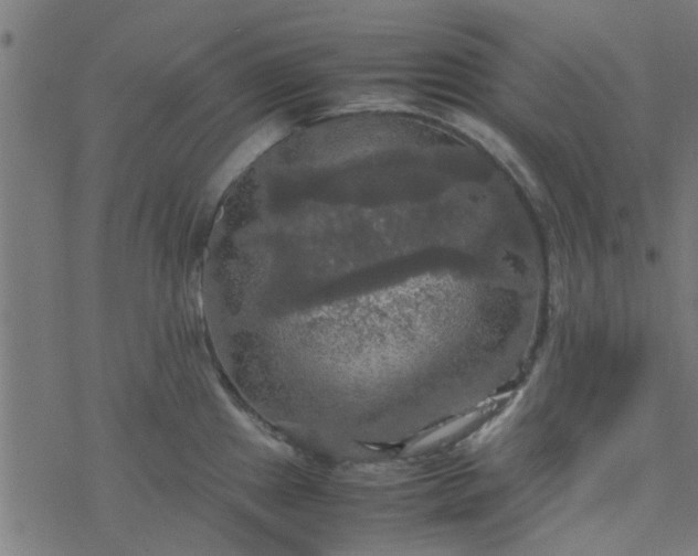 X0000077361241200611031838