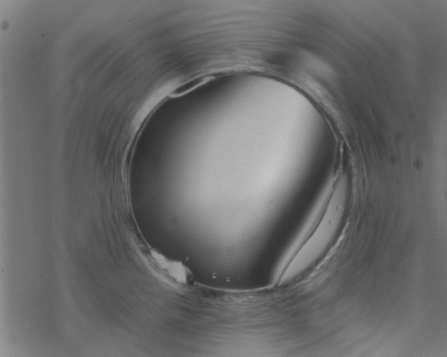 X0000077361242200611031838